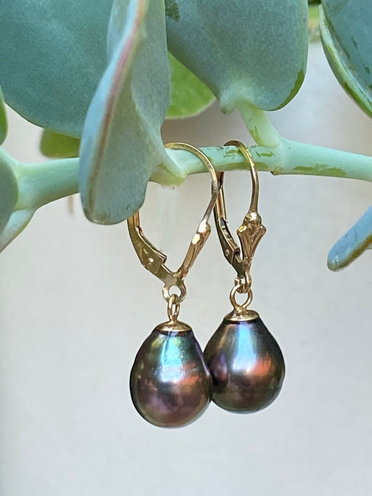 10-11mm Aubergine Tahitian Pearls on 14k GF Wires by Linda Queally