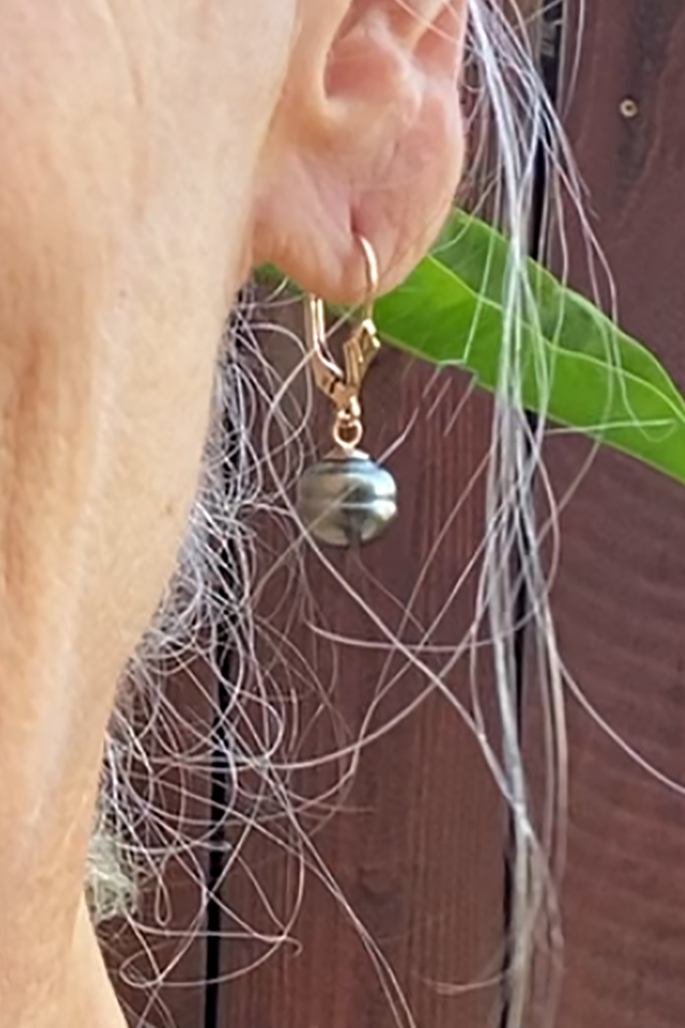 8mm Tahitian Circle Pearl Earrings on 14k GF Wires by Linda Queally