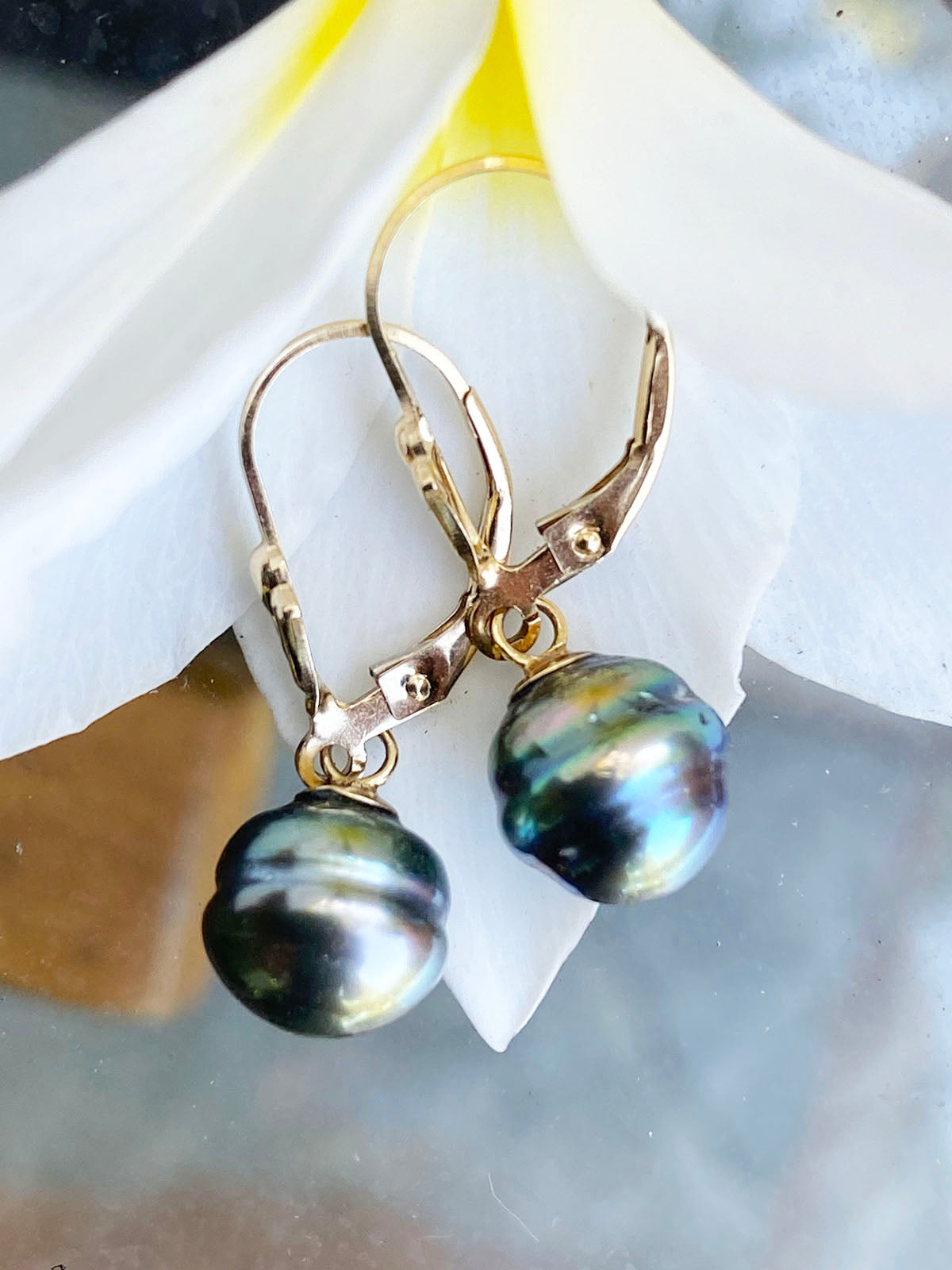 8mm Tahitian Circle Pearl Earrings on 14k GF Wires by Linda Queally