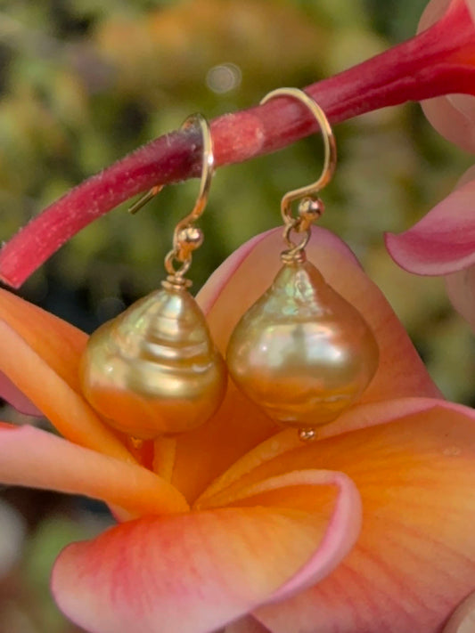 South Sea Golden 12mm  Pearl Earrings on 14k GF Wires by Linda Queally